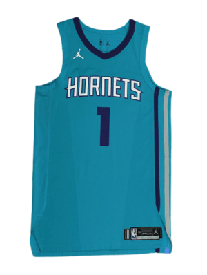 Charlotte Hornets History - Team Origins, Logos & Jerseys 